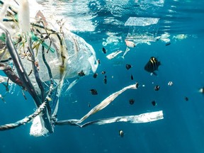 plastics floating in ocean