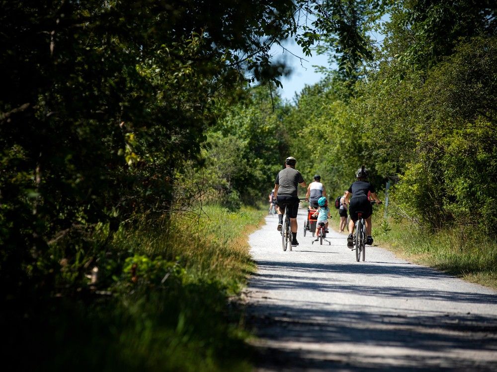 Family cycling along