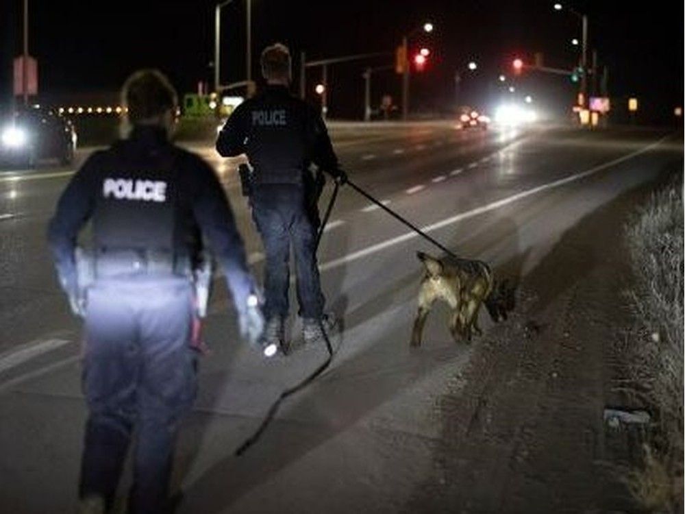 Car theft suspect arrested after brief chase in Barrhaven Ottawa Citizen