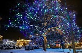 Winter Lights Across Canada Ottawa