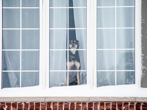 Residents of Ottawa woke up to a large amount of snow