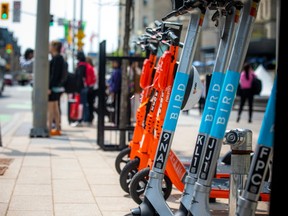 E-scooters parked on an Ottawa street