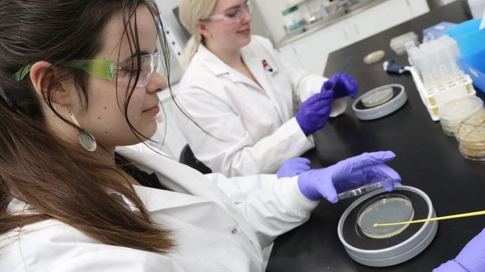 Carleton students get their hands dirty in hunt for new antibiotics