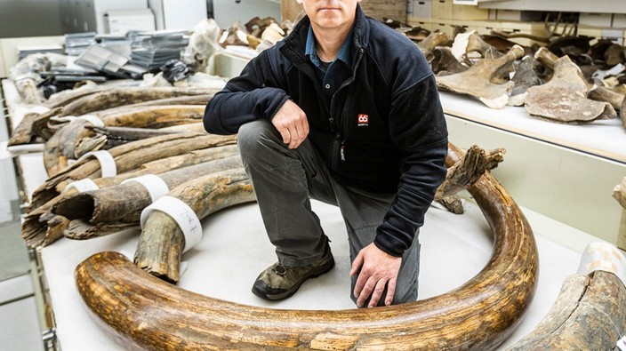 uOttawa researcher part of a team probing a mammoth question