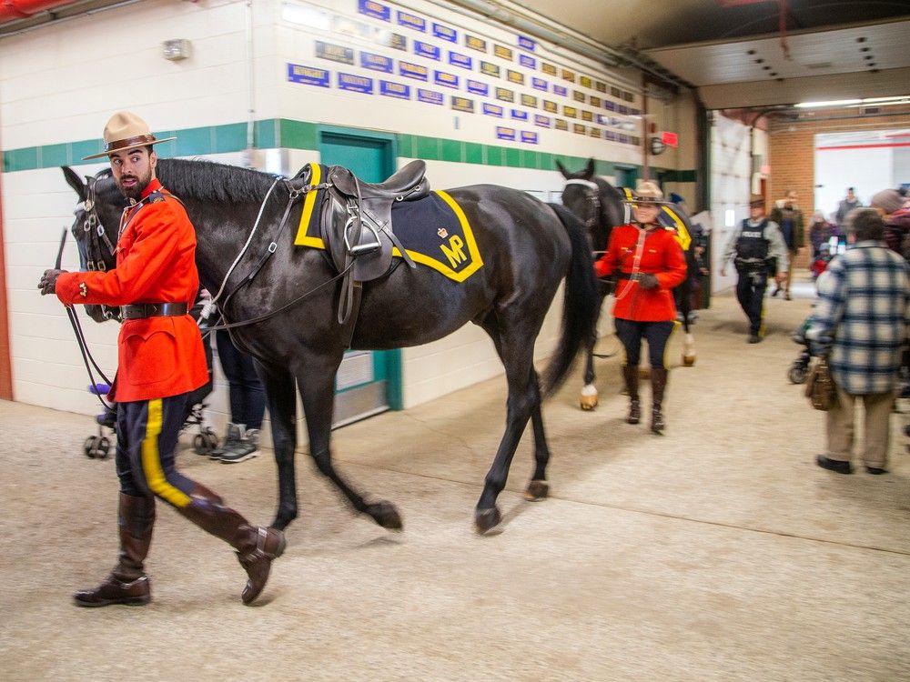 Royal Canadian Mounted Police Musical Ride