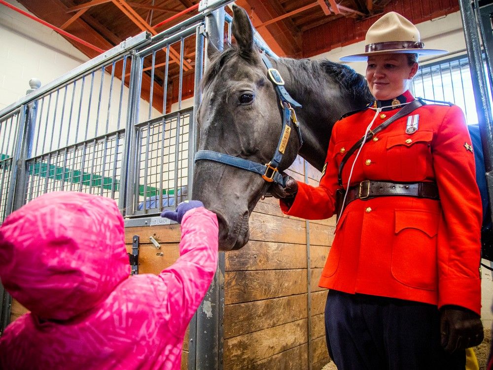 Royal Canadian Mounted Police Musical Ride
