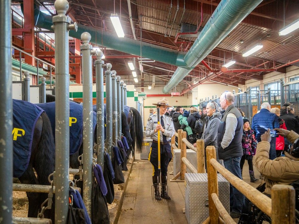 Royal Canadian Mounted Police Musical Ride