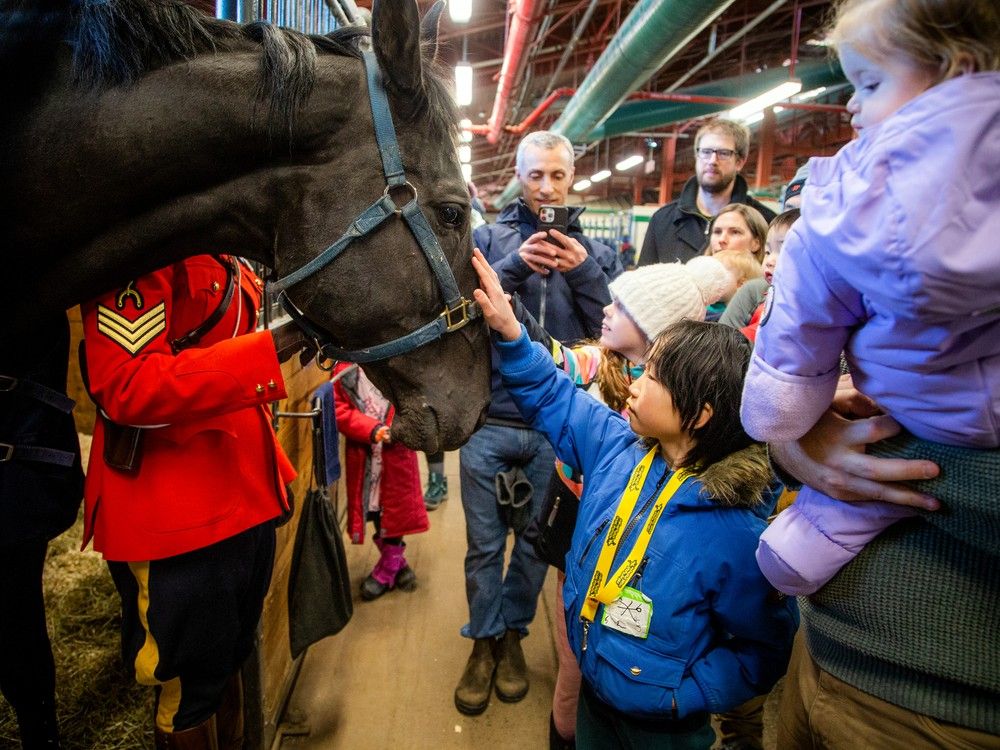 Royal Canadian Mounted Police Musical Ride