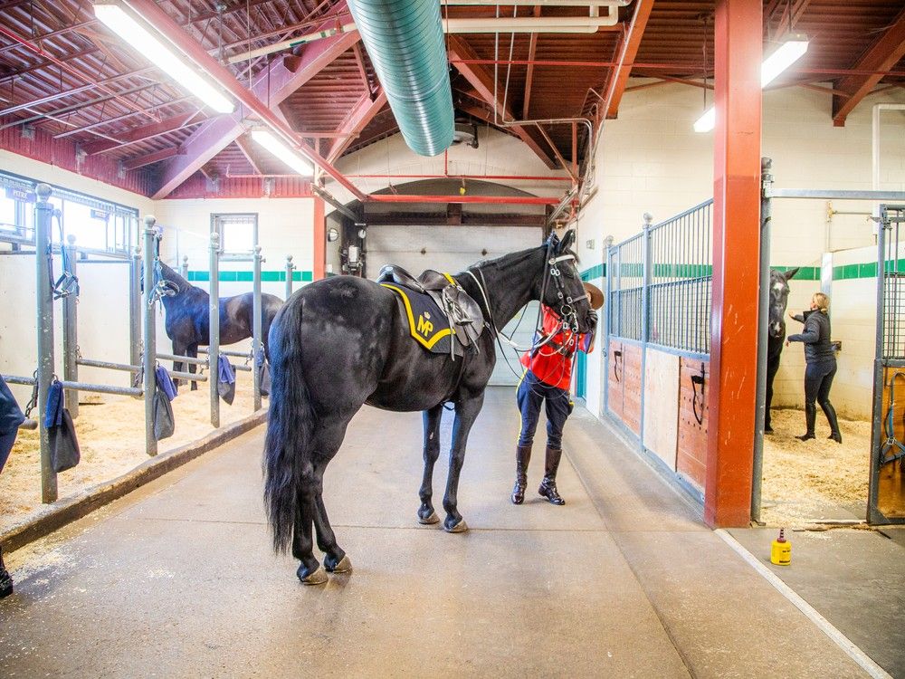 Royal Canadian Mounted Police Musical Ride