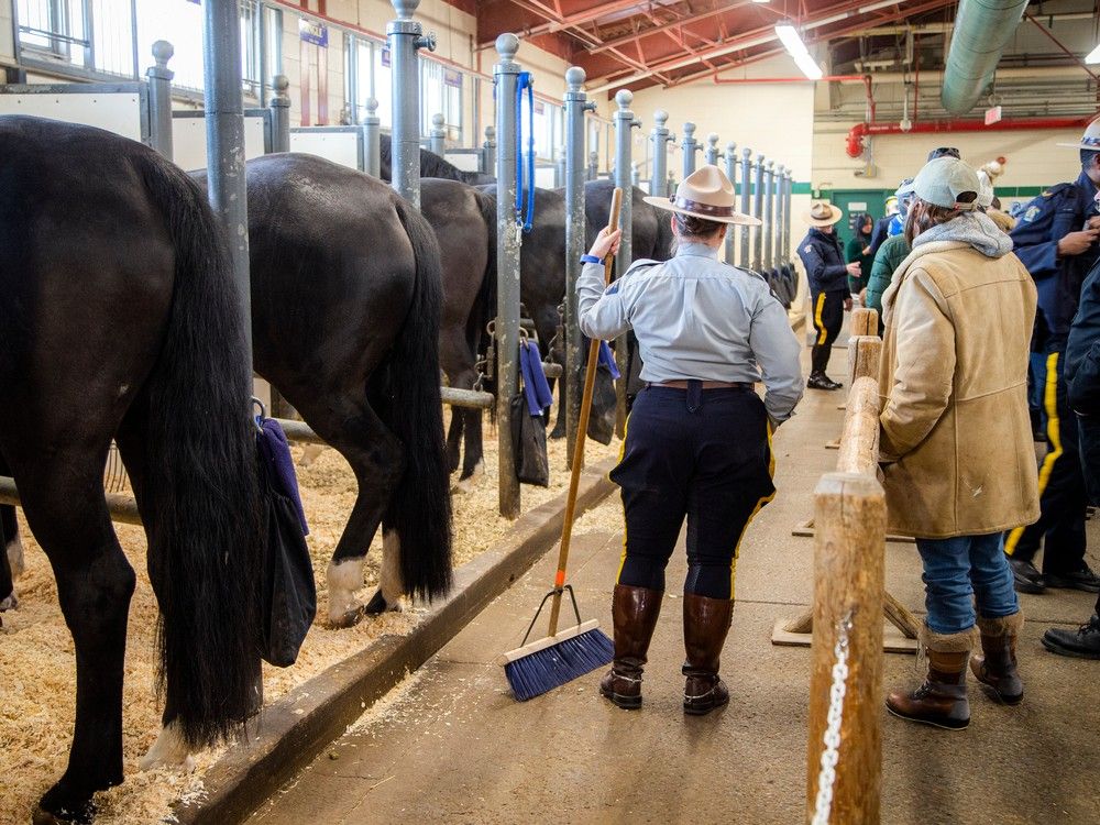 Royal Canadian Mounted Police Musical Ride