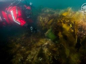 erebus diver