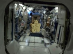 Chris Hadfield snapped this image of a maple cookie floating on the International Space Station in 2013, adding: "Right after I took this picture I ate the cookie."