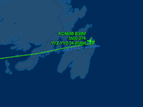 The flight from Toronto to St. John's was supposed to be only three hours long but was delayed due to bad weather and had to head back.