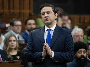 Pierre Poilievre in House of Commons