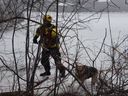 The Ottawa Fire Services' ice rescue team pulled a German shepherd from the Rideau River on Wednesday.