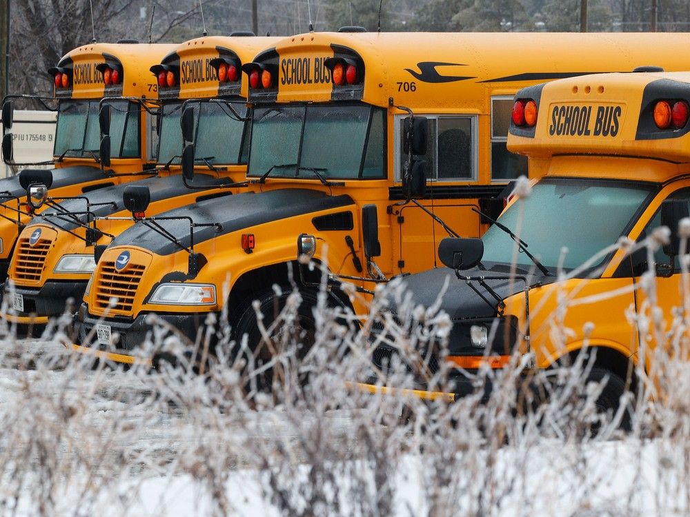 For 2023-2024, the Ottawa-Carleton District School Board received $48.9 million in provincial funding for transportation. The actual cost is estimated to be $51.8 million.