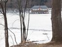 A path of broken ice shows where a car went into the Ottawa River on Thursday off Rue Jacques Cartier street between Saint-Louis and Prince-Albert streets in Gatineau.