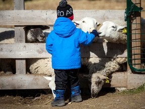 The Log Farm on Cedarview Road