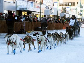Five-time champion Dallas Seavey of Talkeetna, Alaska, wearing bib No. 7, during the ceremonial start of the Iditarod Trail Sled Dog Race on Saturday, March 2, 2024.