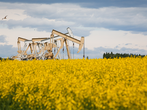Canada is projected to ramp up its oil production in 2024 by 300,000 to 500,000 barrels per day, the biggest increase globally, said a TD Bank report.