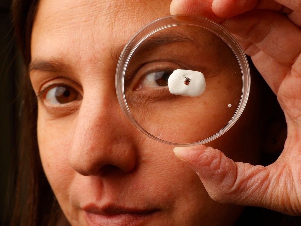 Manisha Kulkarni, who heads the UPTick research project to monitor tick populations around Ottawa, poses for a photo with a tick. She said there was an increase in ticks in the Ottawa area this year as early as mid-March.