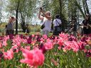 道湖专员公园举办的加拿大郁金香节每年都会吸引数十万游客。