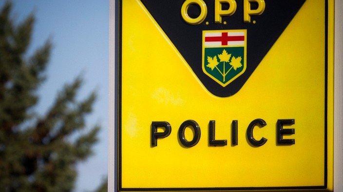 Gatineau driver charged after car leaves highway, hits tree