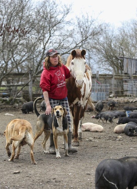 Kris Uens, who owns and operates Kamp Kiki Animal Sanctuary in Plainfield, is facing foreclosure on her 100-acre farm property, which houses approximately 200 animals. She's pictured at her home on Tuesday.