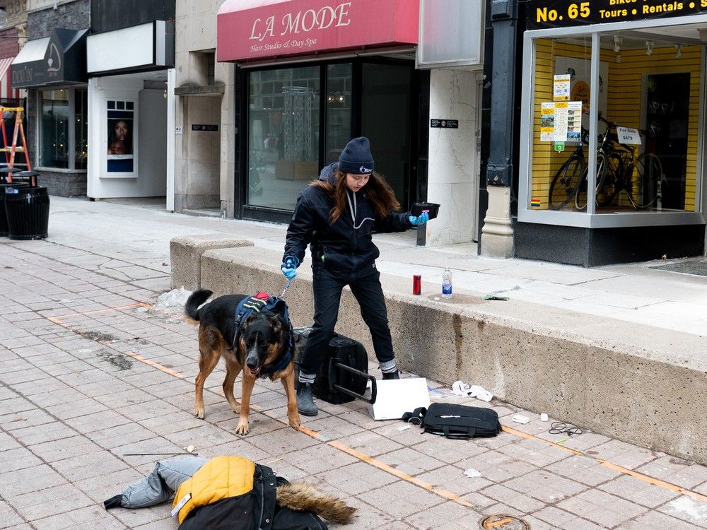 Community Engagement Team (CET) member Rachel Douglas