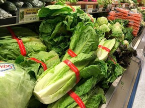 Leafy greens in supermarket