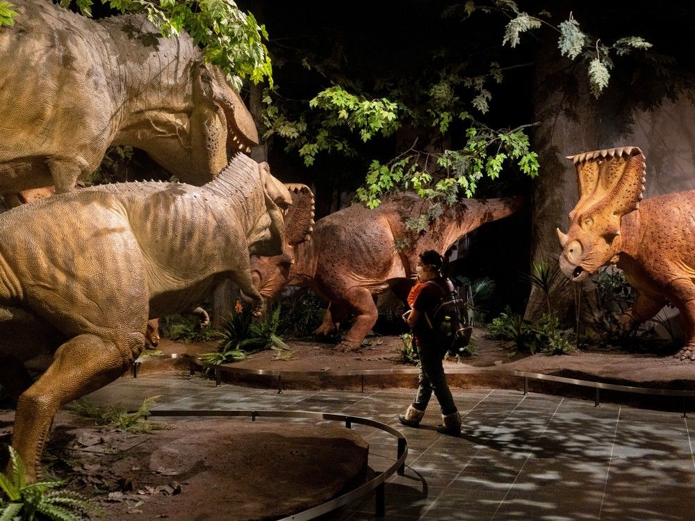  A woman and her child seen strolling through the Fossil Gallery at the Canadian Museum of Nature in Ottawa.