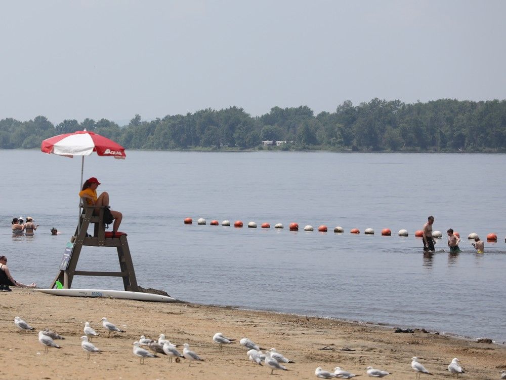 No swimming advisory issued for three local beaches