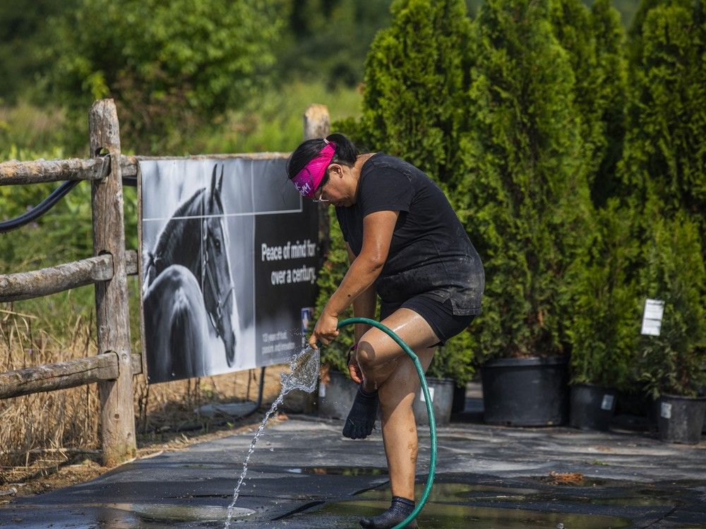 MUDGIRL brought their entry-level obstacle course 5K run to Wesley Clover Park.