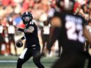 Ottawa Redblacks quarterback Dru Brown (3) prepares to throw the ball during first-half CFL football action against the Edmonton Elks.