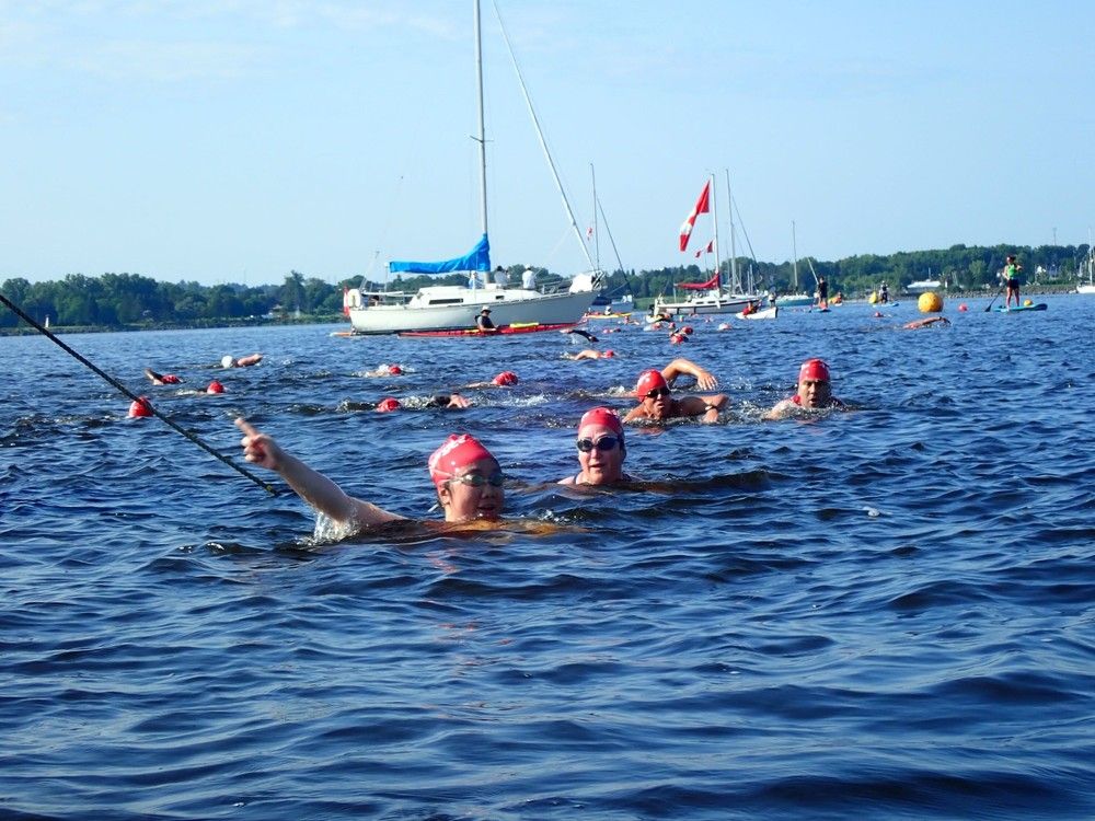 Photos: Bring on the Bay open water swim