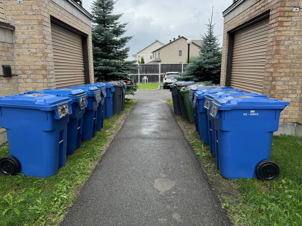 Neat rows of garbage bins