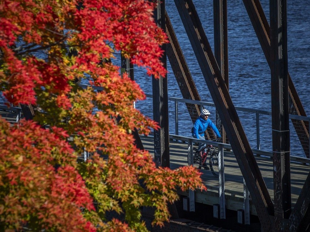 Autumn gallery: The beautiful pause in the National Capital Region