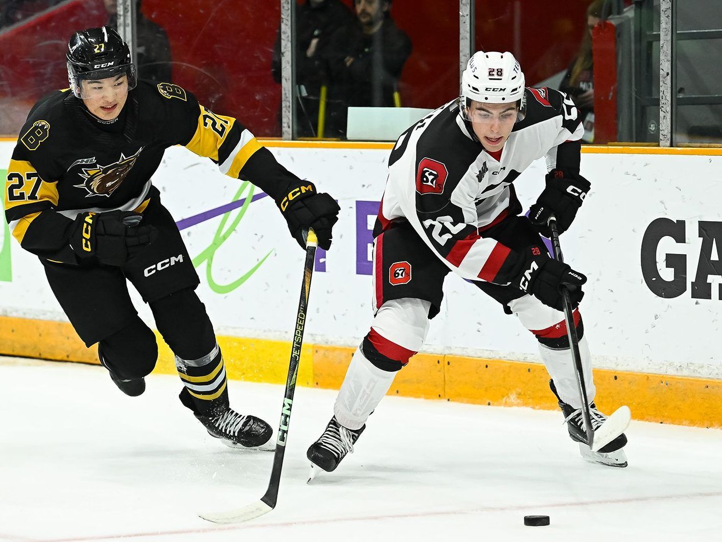 Despite Matthew Mayich's heroics, 67's fall to Andlauer's Brantford Bulldogs