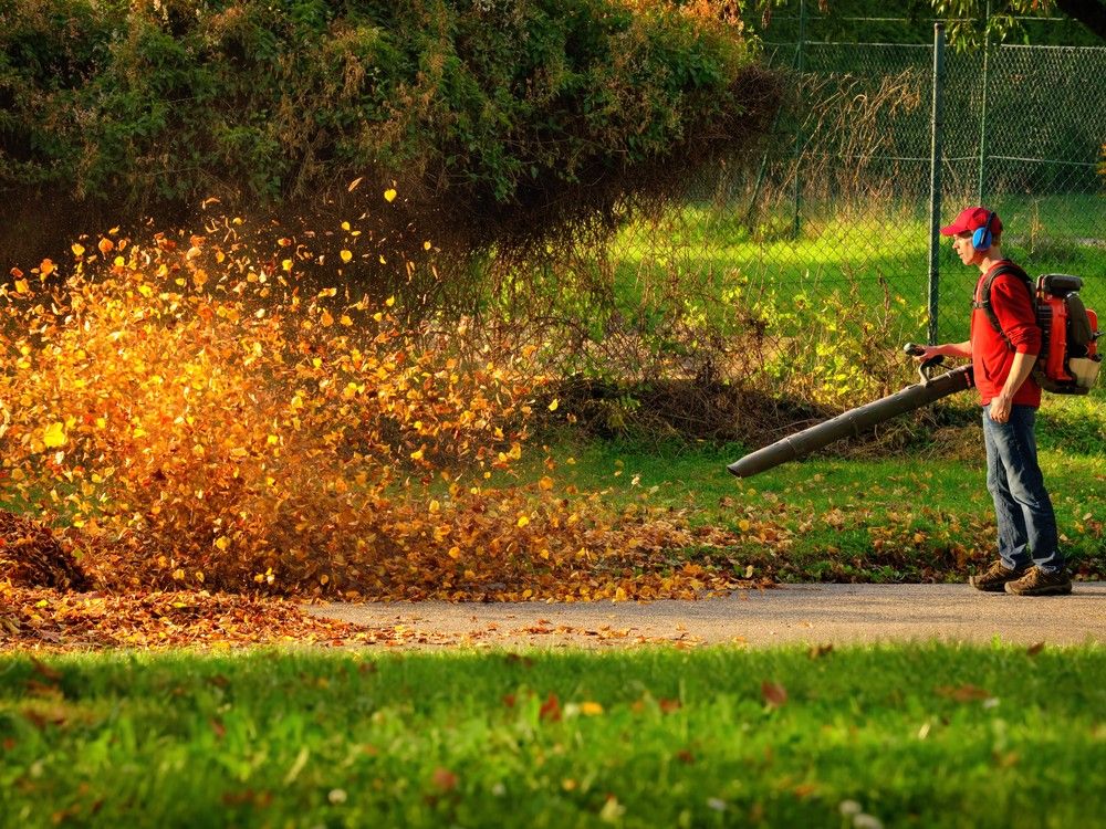 A heavy-duty leaf blower in action: Sometimes they're the best tool for the job.