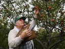 Bruce Deachman is in the Apple Orchard in Lansdowne Park.