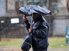 Rain