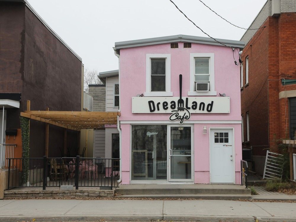  dreamland cafe, nov. 20, 2024
