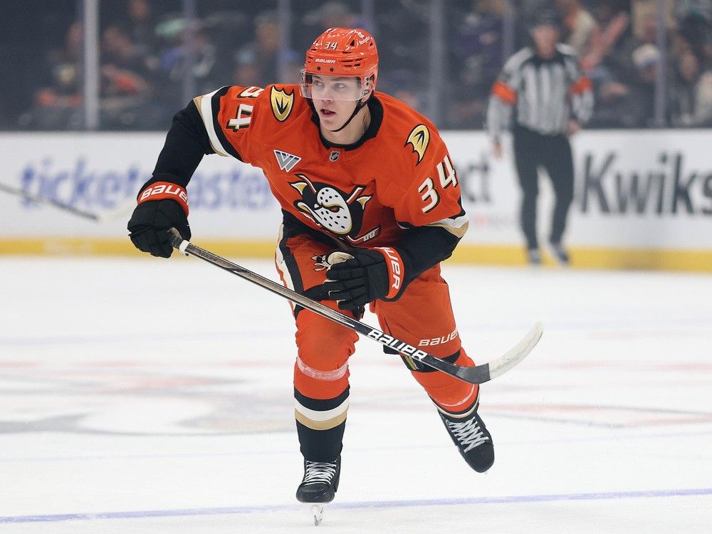 Pavel Mintyukov Patos de Anaheim