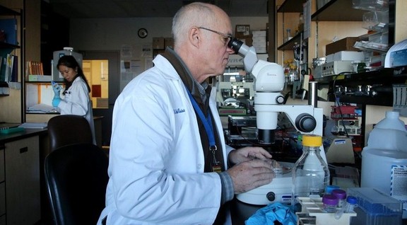 Potential treatment could change Duchenne muscular dystrophy | Ottawa ...