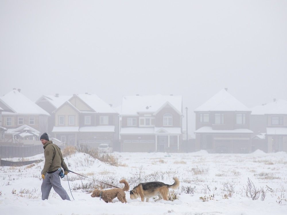 Ottawa weather forecast calls for fog, rain