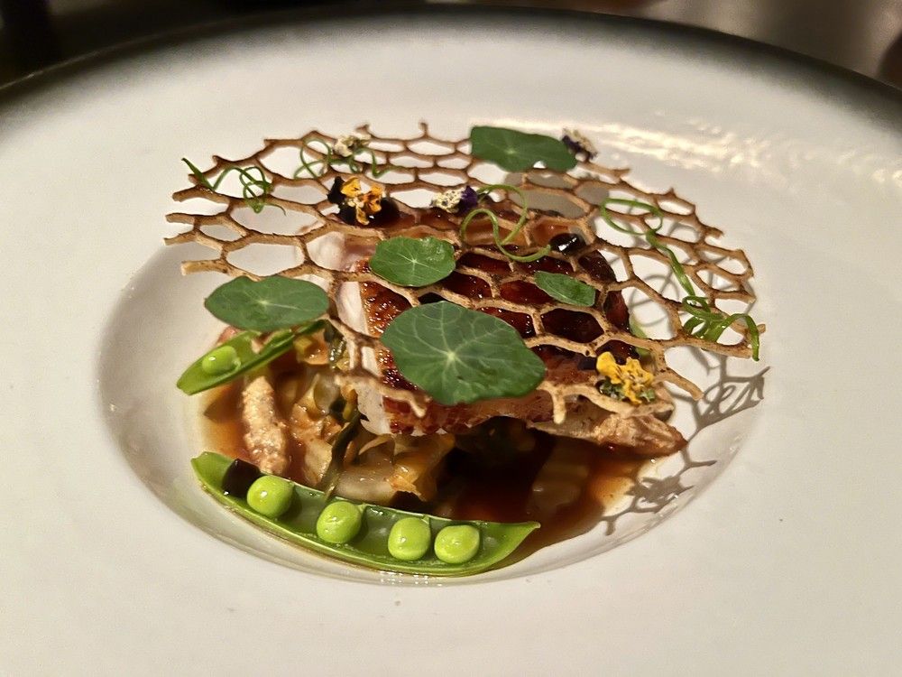  mackerel starter at stofa on wellington street west