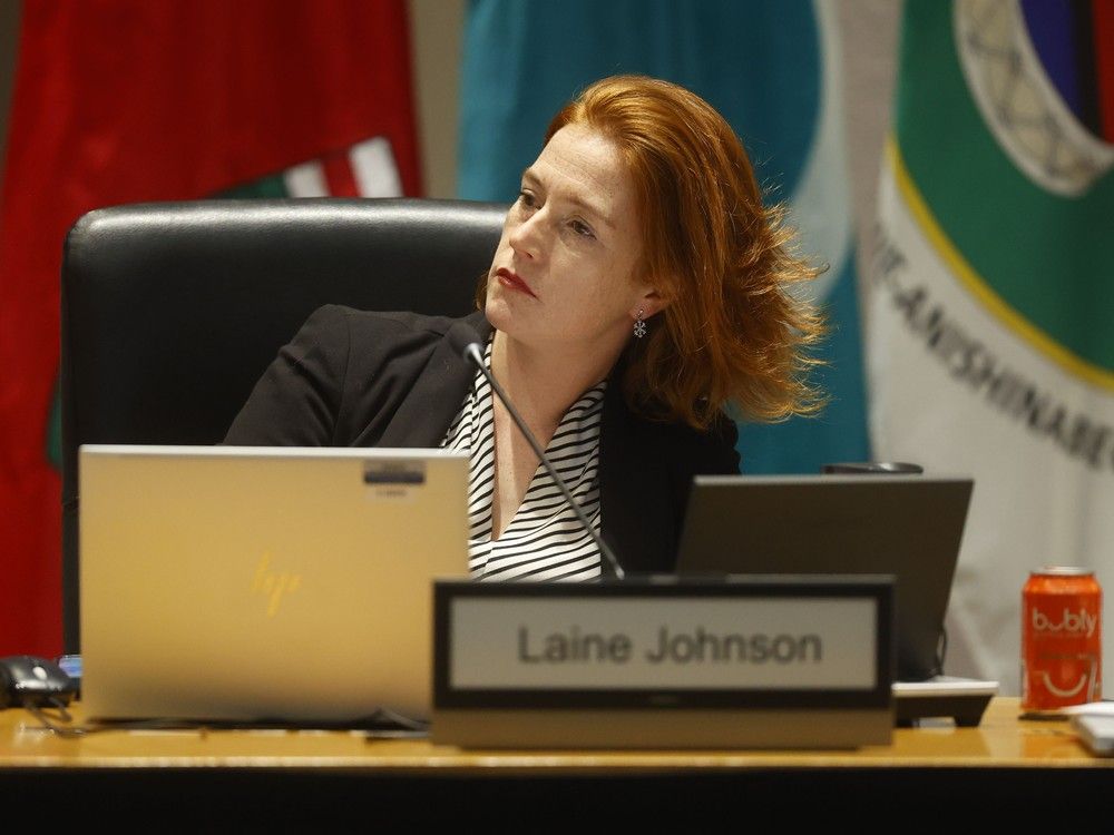  coun. laine johnson during the meeting.