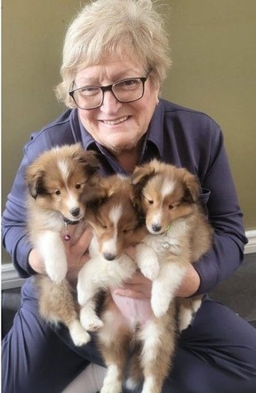 Linda Howie Sheltie Puppies
