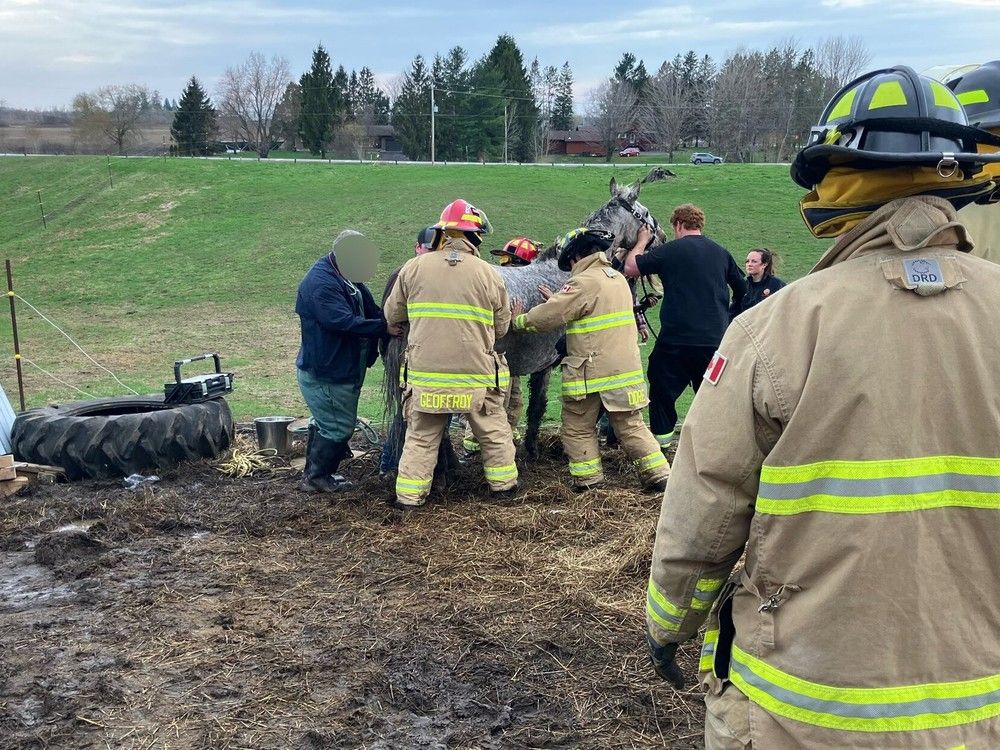  Firefighters work to free a horse trapped under a collapsed shed in Vars Tuesday.