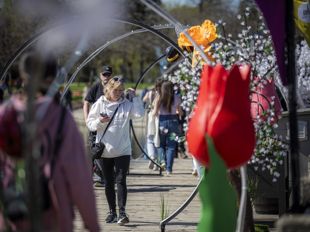  The 73rd Canadian Tulip Festival opened Saturday with a ceremonial parade by the Canadian Army and tributes to Second World War veterans, marking 80 years since the Liberation of the Netherlands.
